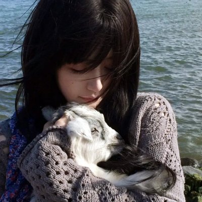 爱情流弹
